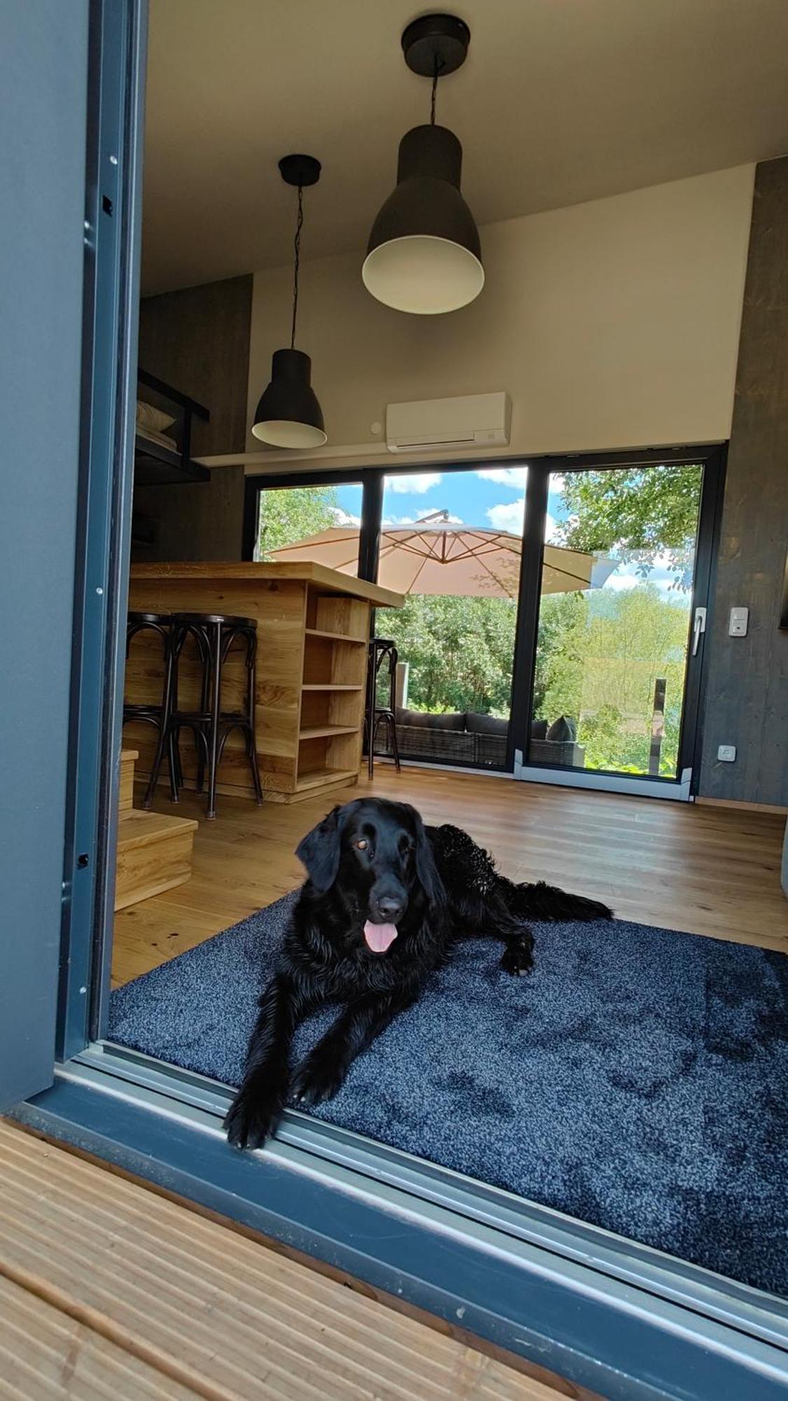 Tinyhousebeidresden 3 Fuer 2 - 7 Personen, Naehe Saechsische Schweiz, Dresden, Mit Badeteich Villa Großharthau Exteriör bild
